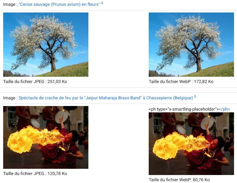 comparaison entre deux photos, notamment sur le poids, entre un format JPEG et un format webp